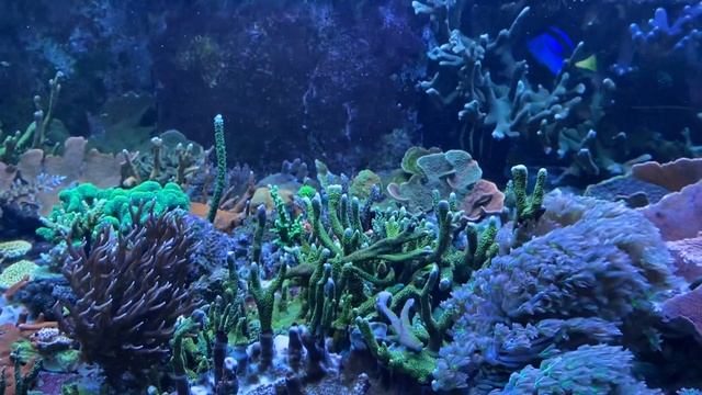 Правильный свет. Первая часть смотреть онлайн