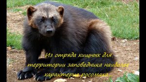 Подкаменная Тунгуска