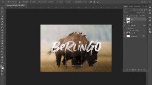 How to use Berlingo SVG font