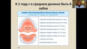 Лекция по теме: "Грудной возраст"