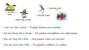 SPOTLIGHT 2. CAN - CAN'T.