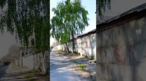 Пылесос DEXTER POWER 1400 Вт