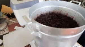 Сок из черной смородины в соковарке
