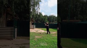 Если собака агрессирует на выгуле