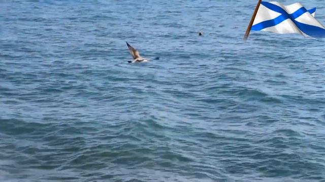 С Днём ВМФ России! Виват морякам! смотреть онлайн