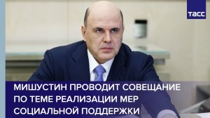 Мишустин проводит совещание по теме реализации мер социальной поддержки