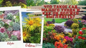 Что такое сад малого ухода и как он должен выглядеть??