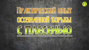 Евгений Агафонов и проект "Живая Пища" Осознанный опыт борьбы с плесенью (видео 96)