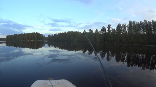 Карельский перешеек. Щука.