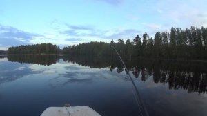 Карельский перешеек. Щука.