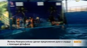 Житель Новороссийска сделал предложение девушке с помощью дельфина