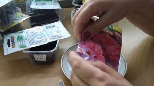 Посадка семян пеларгоний и колеусов. Как взошли семена глоксиний?