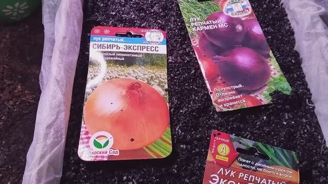 Сею чёрное в чёрное
