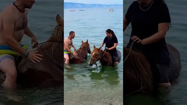 Купание с монгольскими лошадьми в священном озере Байкал, остров Ольхон, мыс Бурхан