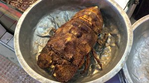 Тайваньская уличная еда - САШИМИ из ЛОБСТЕРОВ Тайваньские морепродукты