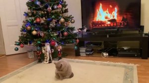 Рождество в Германии ???