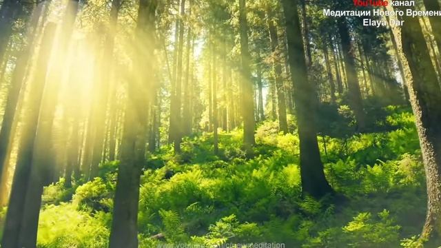 УТРЕННЯЯ ПРАКТИКА БЛАГОДАРНОСТИ
