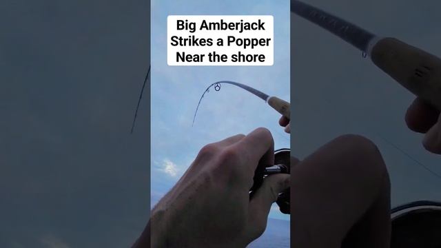 Amberjack Attack! #shorejigging #popping #amberjack #fishing