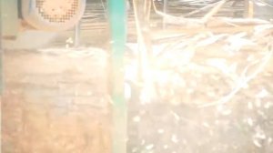 Раскрой бревна. Нестандартный большой размер. Cutting logs.