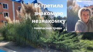 Знакомая незнакомка. Встретила свою приятельницу пампасную траву. Прекрасная Кортадерия