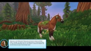 3 NEW CODES & Going into Wildwoods - Star Stable Online