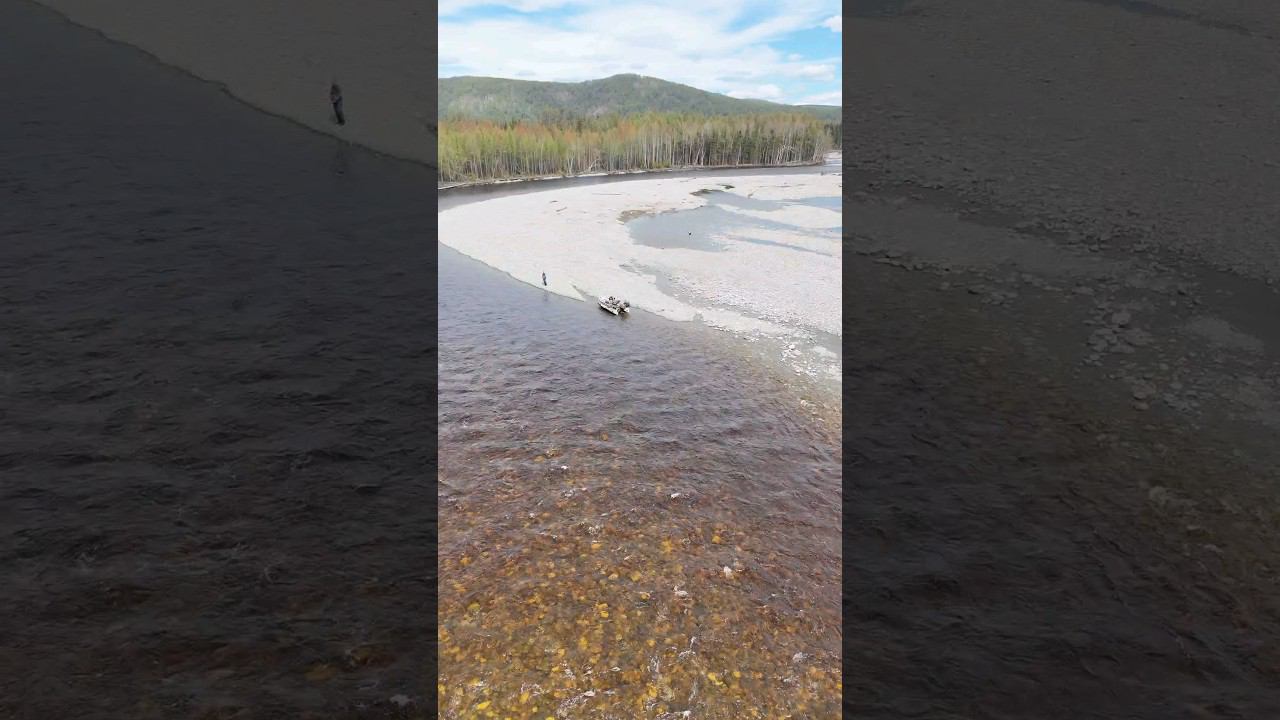 #fishing #горнаярека #beautiful #рыбалка #solar #shorts
