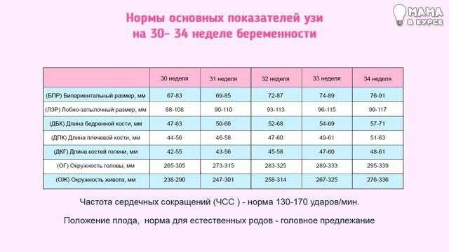 Третий скрининг при беременности. Расшифровка результатов и нормы смотреть онлайн