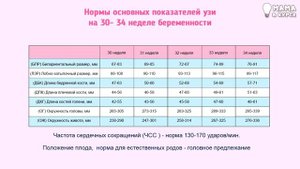 Третий скрининг при беременности. Расшифровка результатов и нормы