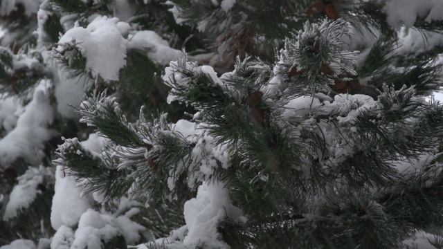 Народный праздник Вифлеемские младенцы 11 января. Страшный день. Народные традиции и приметы. смотреть онлайн