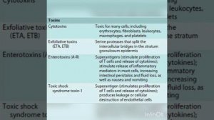 @Gram-positive cocci : Staphylococcus (catalase-positive) MICROBIOLOGY