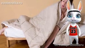 Зайка-Зуби.Не женюсь я не женюсь! Прикольная заводная песенка переделка ZOOBE Муз Зайка