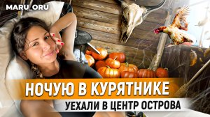 Ночую в курятнике😧 
Готовимся к Сингальскому новому году