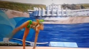 Александра Солдатова Булавы ( 2015 )