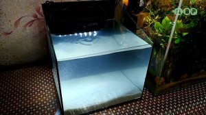 ОФОРМИЛ АКВАРИУМ С АКВАПОНИКОЙ 13 ЛИТРОВ И ЗАПУСТИЛ РЫБОК!