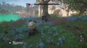 Assassin's Creed Valhalla-Ревнитель Хайки