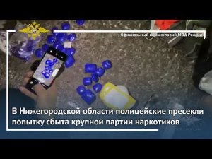 Ирина Волк: В Нижегородской области полицейские пресекли попытку сбыта крупной партии наркотиков