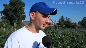 Черт Владимир помощь бабушке