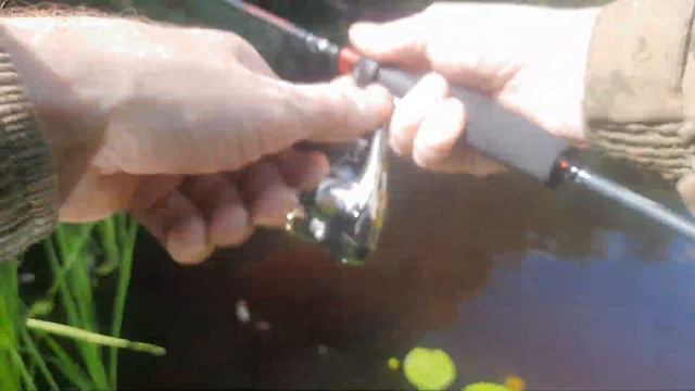 ещё одна микроречка в псковской области.прогулялся и на рыбу посмотрел. смотреть онлайн