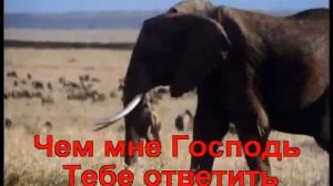 Гимны Надежды - 246. Чем я воздам Тебе Спаситель