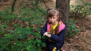 Урок в лесу. Чем можно поживиться - съедобные и несъедобные растения.