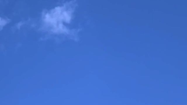 Стефан и его счастливая собака во сне. Собаки, смешное видео, funny stories приколы с собаками мемы смотреть онлайн