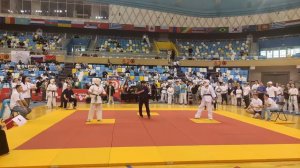 Бой за выход в полуфинал Чемпионата Мира киокушин каратэ. Друкер Софья