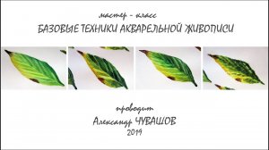 Базовые акварельные техники