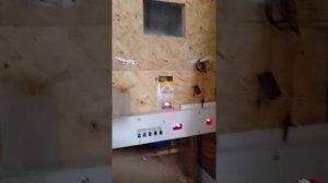 Самодельный детский настенный инкубатор на 300 яиц.