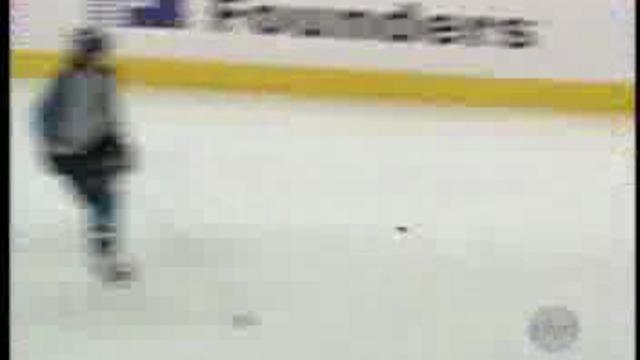 Приколы в хоккее