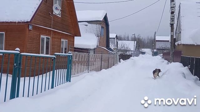 Первый день последнего месяца зимы ❄️☃️Дача.Теплица.