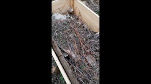 Чем наполнить высокие грядки?