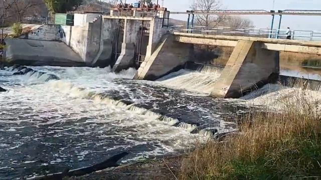 ДАЧА: История Дамбы смотреть онлайн