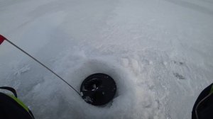 Зимняя рыбалка с ночевкой на Яузском водохранилище  .