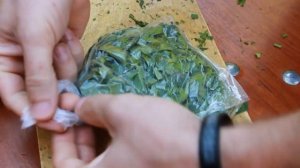 QAYSI OVQATLAR OZISH VA SEMIRISHGA YORDAM BERADI